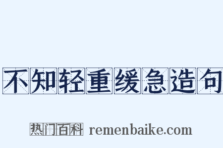不知轻重缓急造句是什么意思的图片
